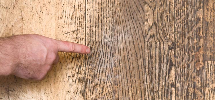 Wood Door Scratch Repair in Vallejo